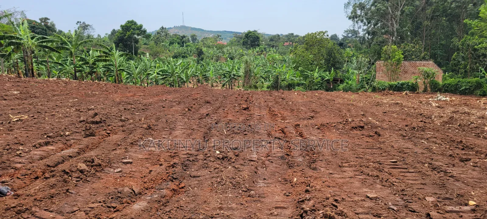 Gobero Muguluka in Wakiso / Wakiso