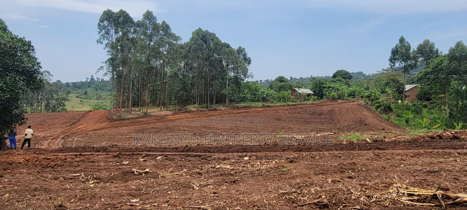 Gobero Muguluka in Wakiso / Wakiso