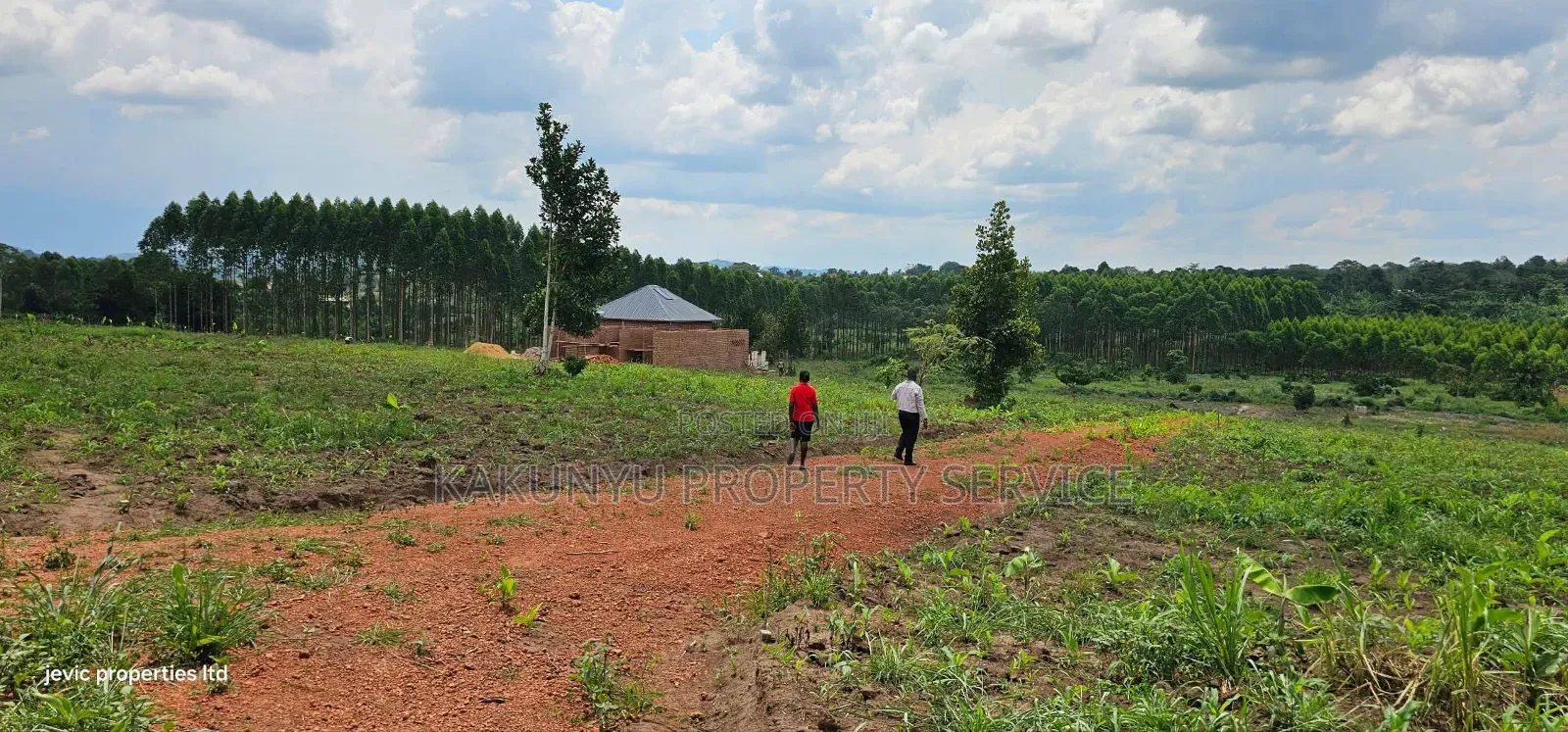 Gobero Kati-Kamu in Wakiso / Wakiso