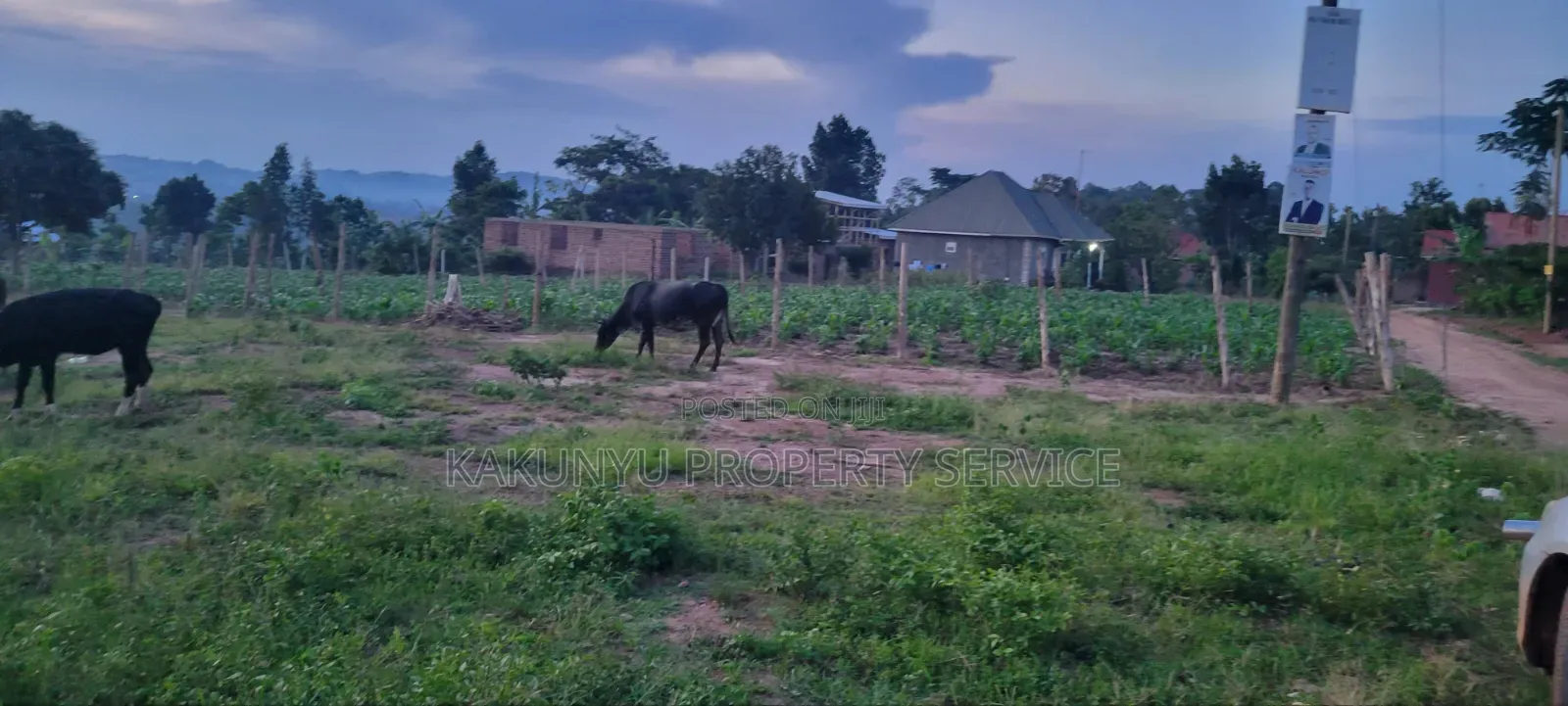 Mount Olvies High-School Estate in Wakiso / Wakiso