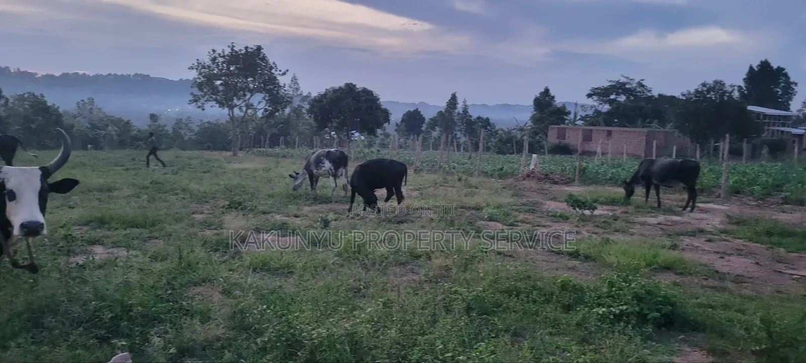 Mount Olvies High-School Estate in Wakiso / Wakiso