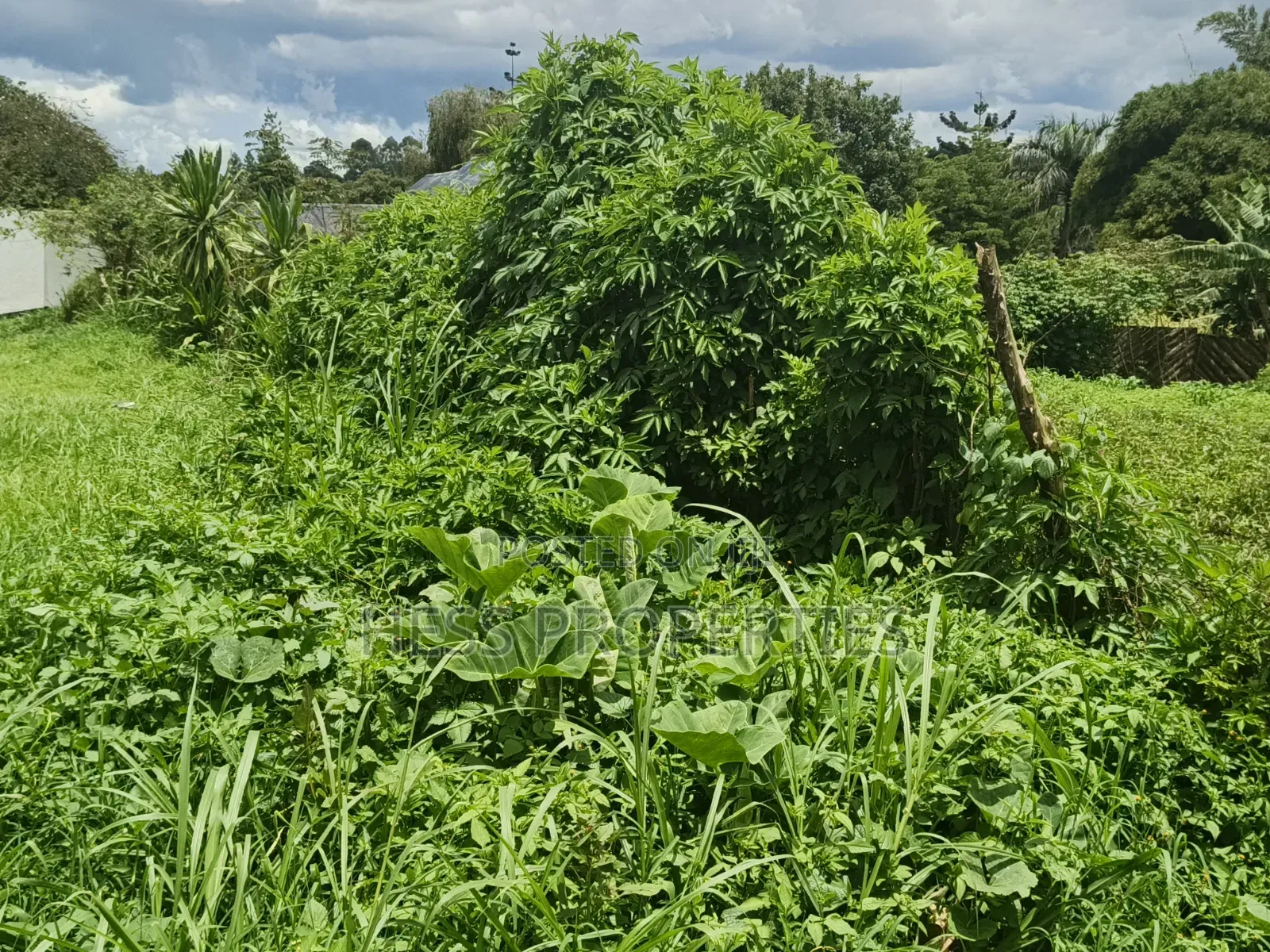 One Acre of Commercial Land on Sale in Fort Portal City in Kabalore