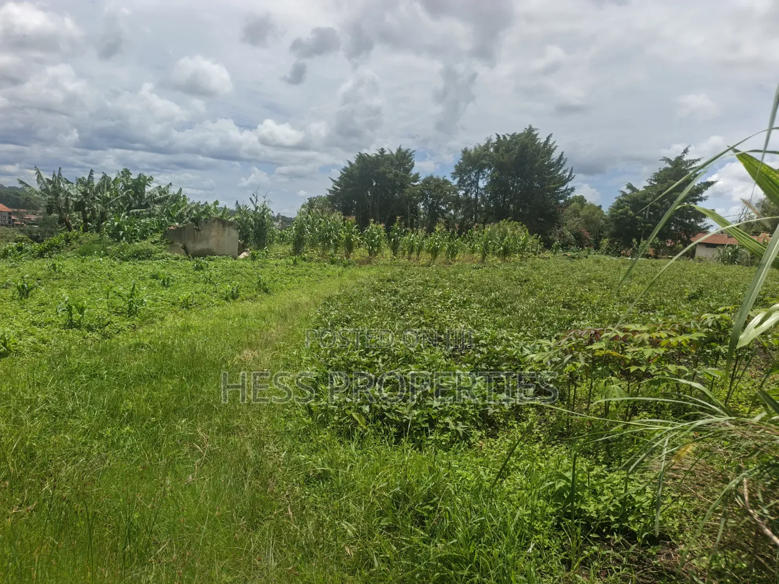 One Acre of Commercial Land on Sale in Fort Portal City in Kabalore
