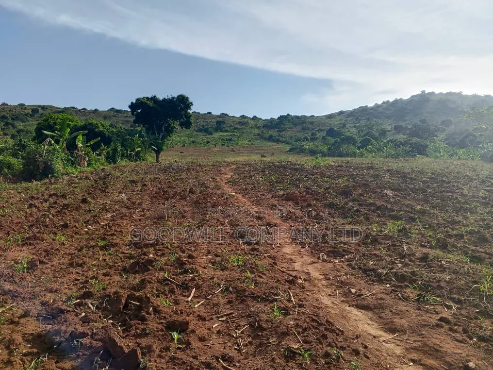 10 Acres of Land in Kikakanya Nkokonjeru Buikwe W/T Lake Victoria View in Central Division