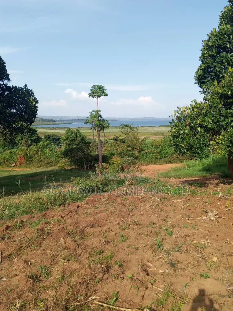 10 Acres of Land in Kikakanya Nkokonjeru Buikwe W/T Lake Victoria View in Central Division