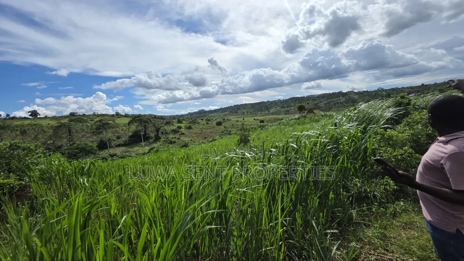7sq Miles Mitiyana Road Freehold Land Title in Malangala
