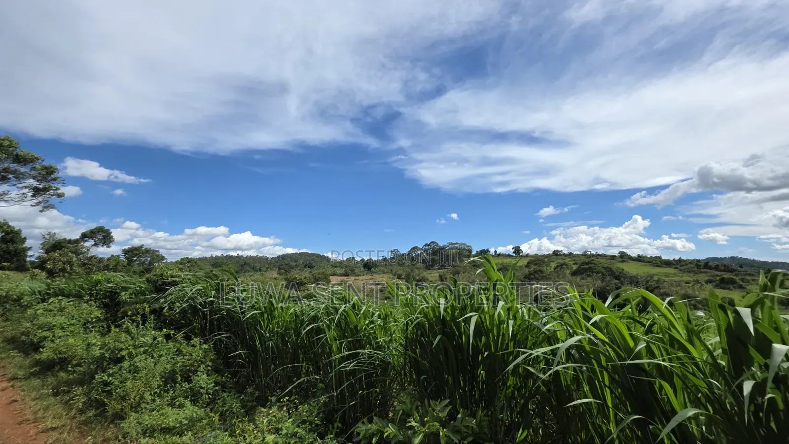 7sq Miles Mitiyana Road Freehold Land Title in Malangala