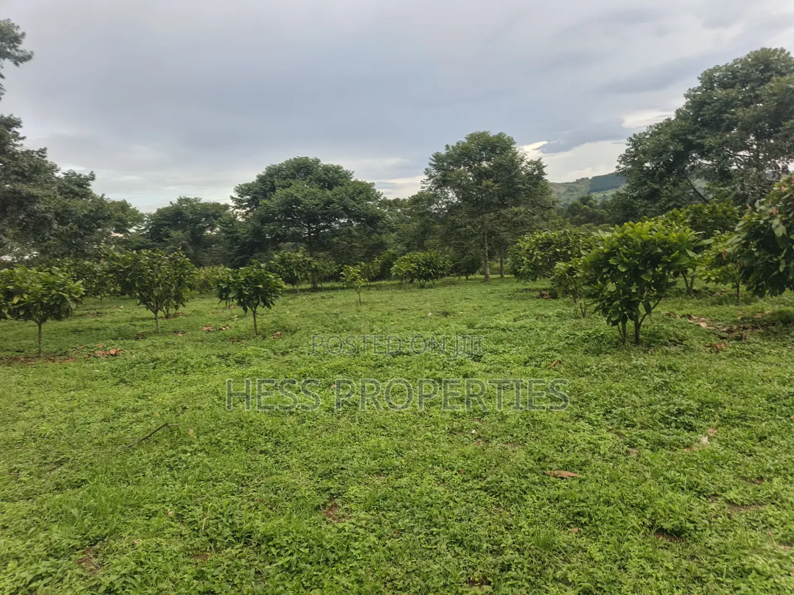 Commercial Land on Sale in Kyenjojo