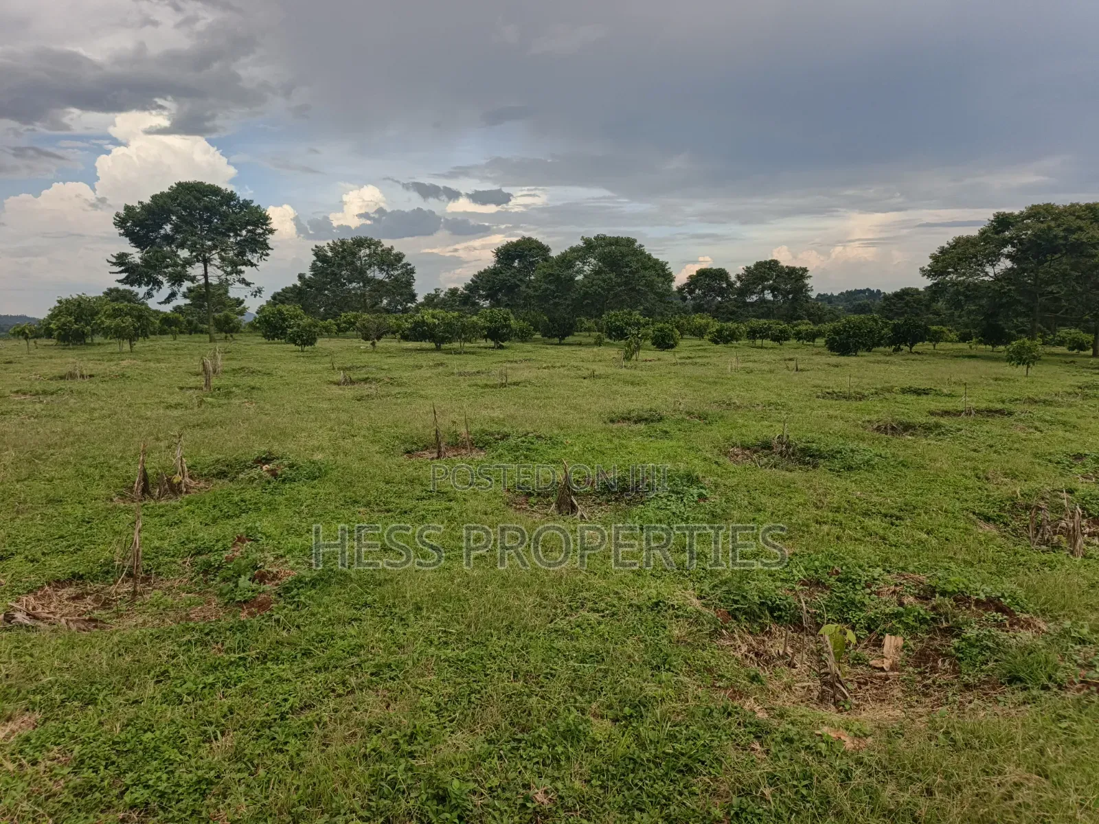 Commercial Land on Sale in Kyenjojo