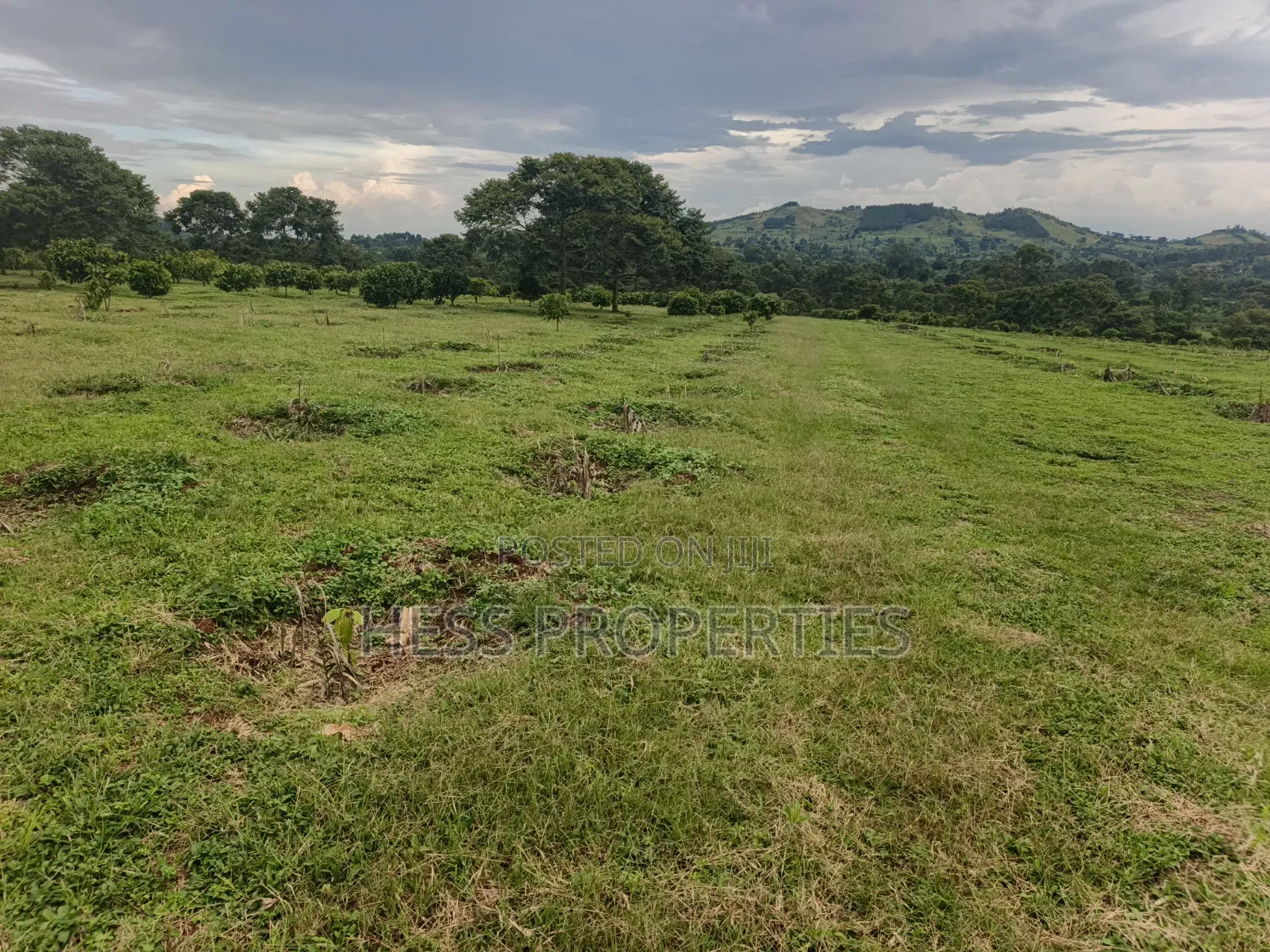 Commercial Land on Sale in Kyenjojo