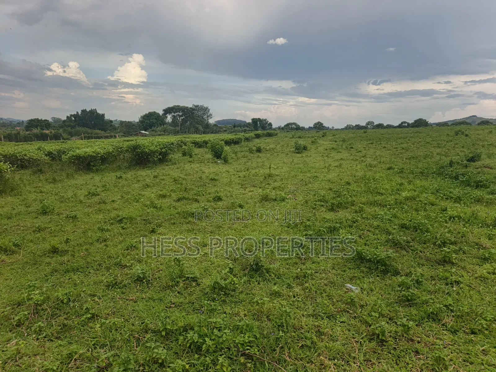 Commercial Land on Sale in Kyenjojo