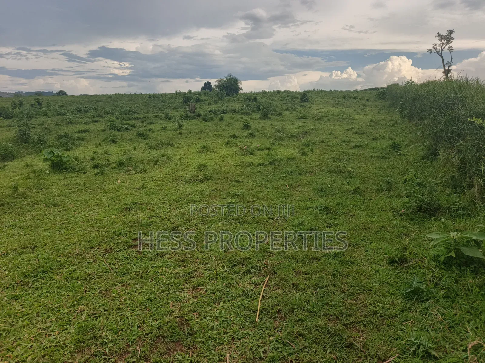 Commercial Land on Sale in Kyenjojo
