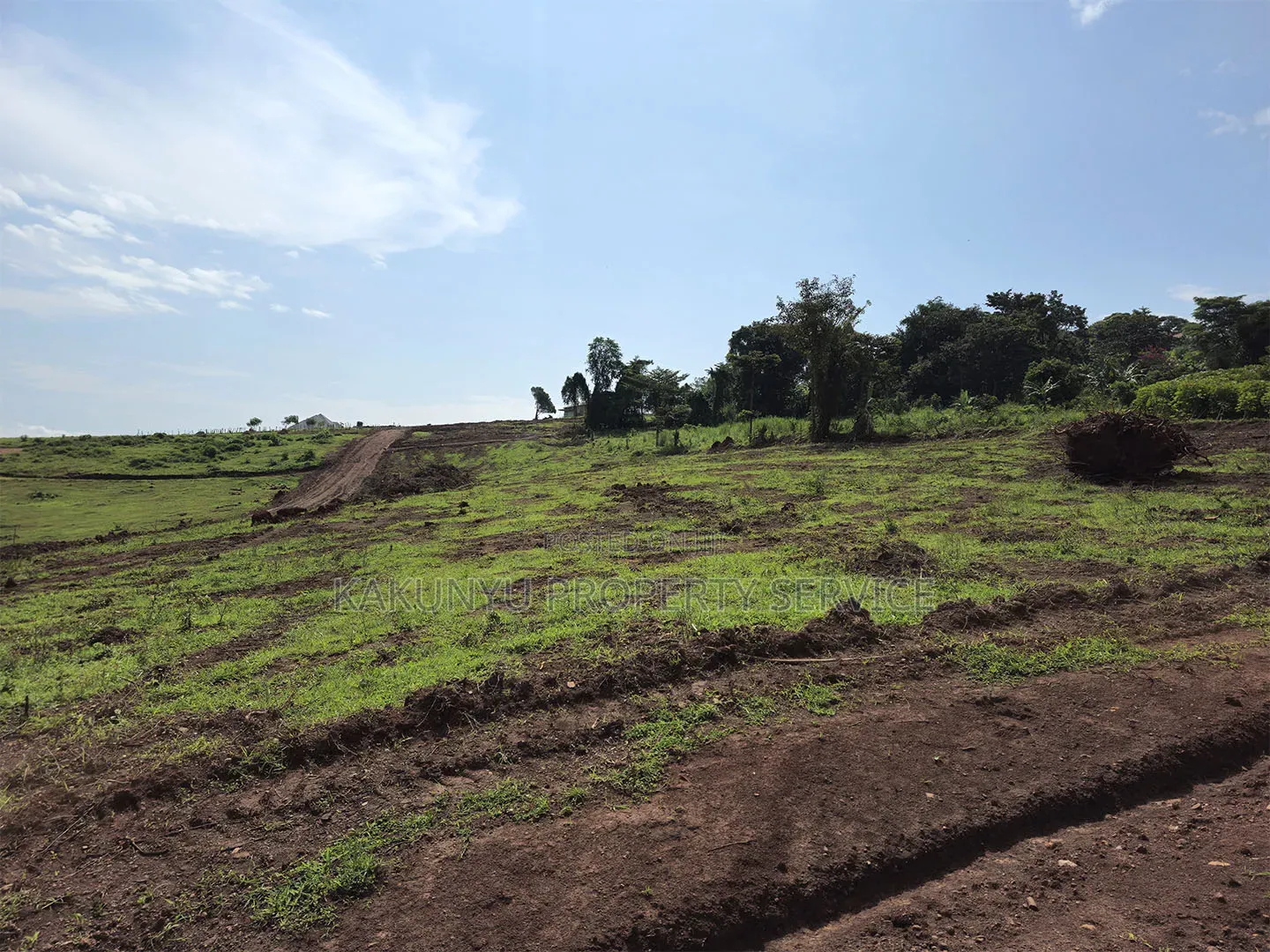 Wakiso Mabombwe in Wakiso / Wakiso