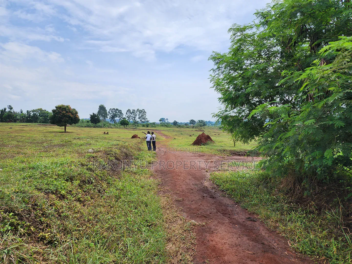 Gayaza Kiwenda in Wakiso / Wakiso