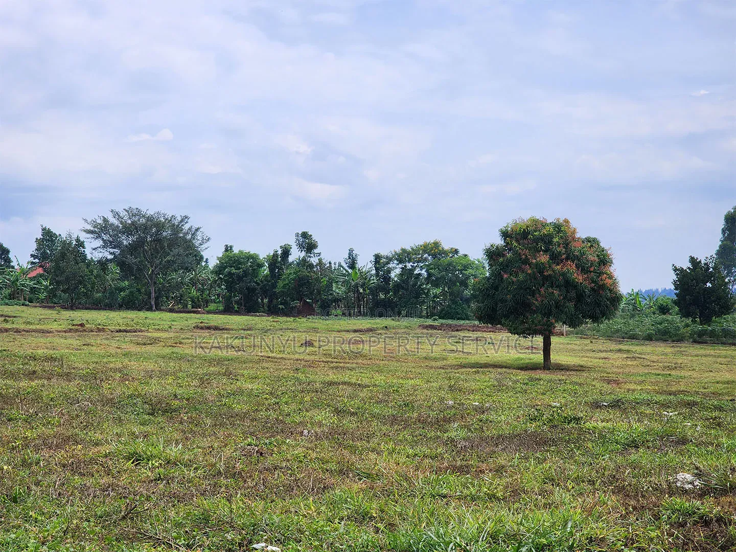 Gayaza Kiwenda in Wakiso / Wakiso