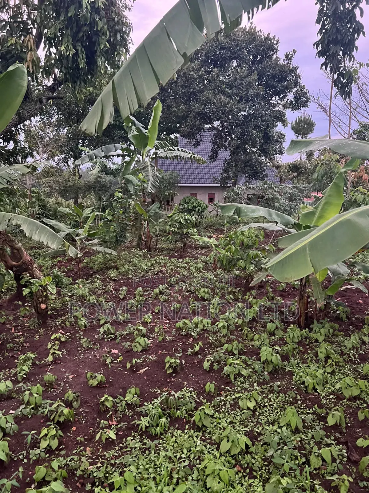Plot of Land for Sale in Kalagala, Nakasaja – Kayunga Road! in Central Division
