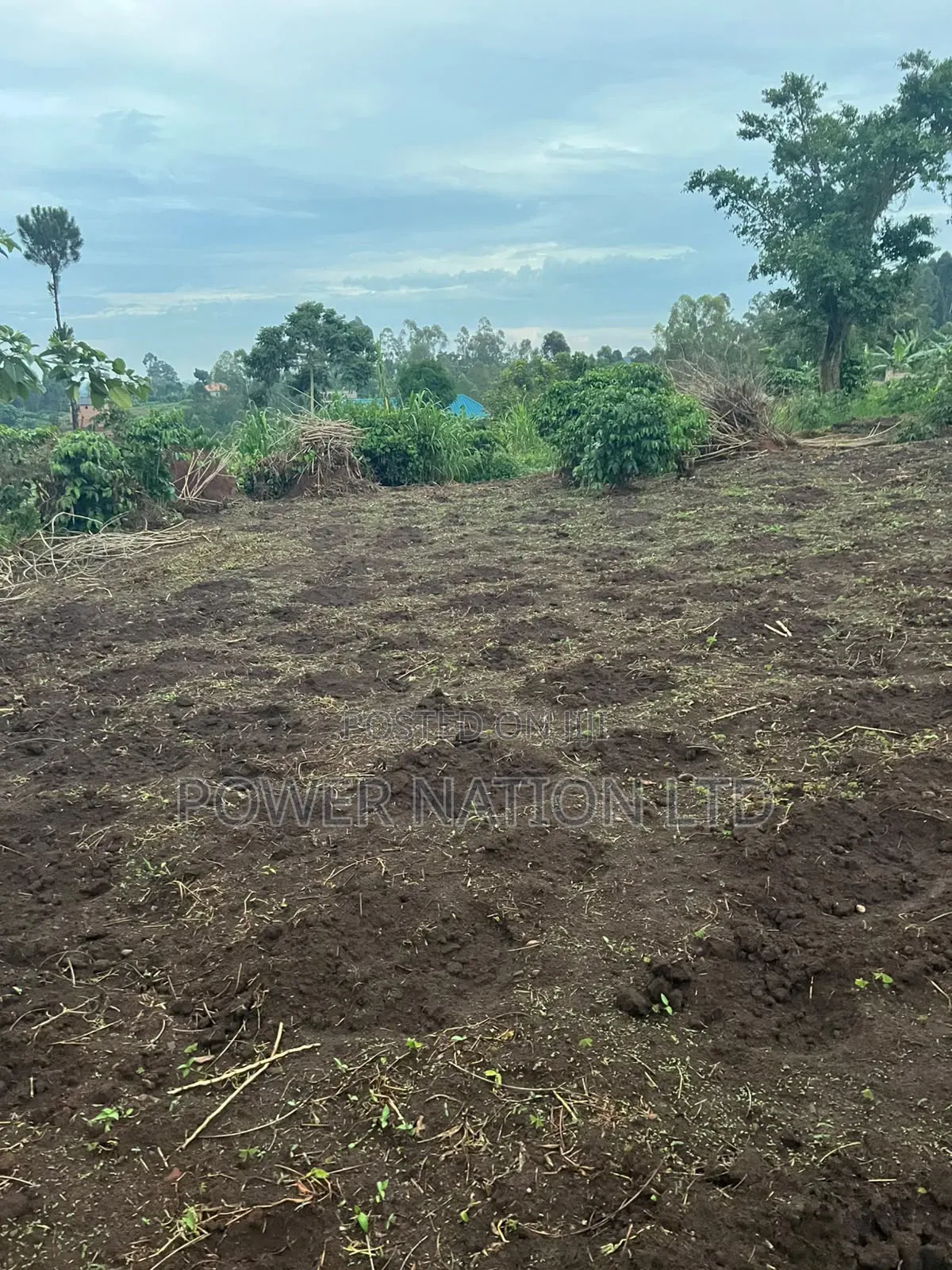 Plot of Land for Sale in Kalagala, Nakasaja – Kayunga Road! in Central Division