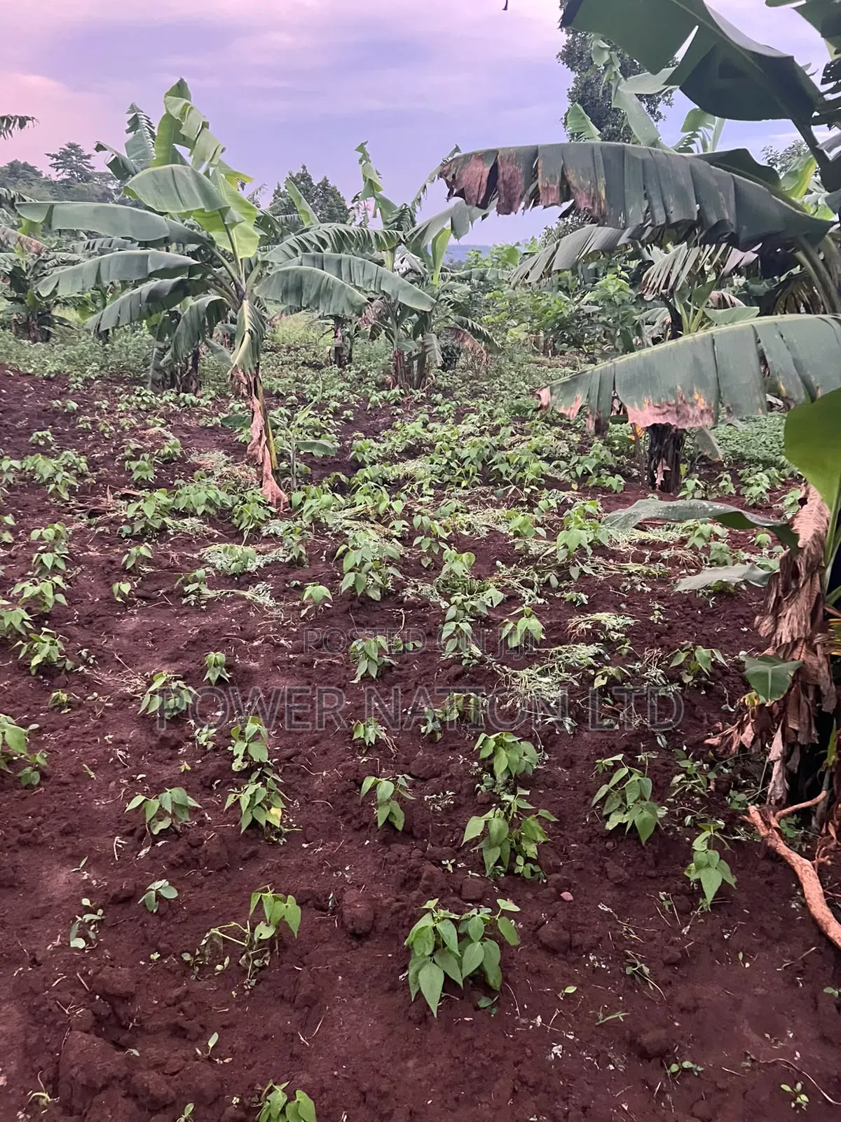 Plot of Land for Sale in Kalagala, Nakasaja – Kayunga Road! in Central Division