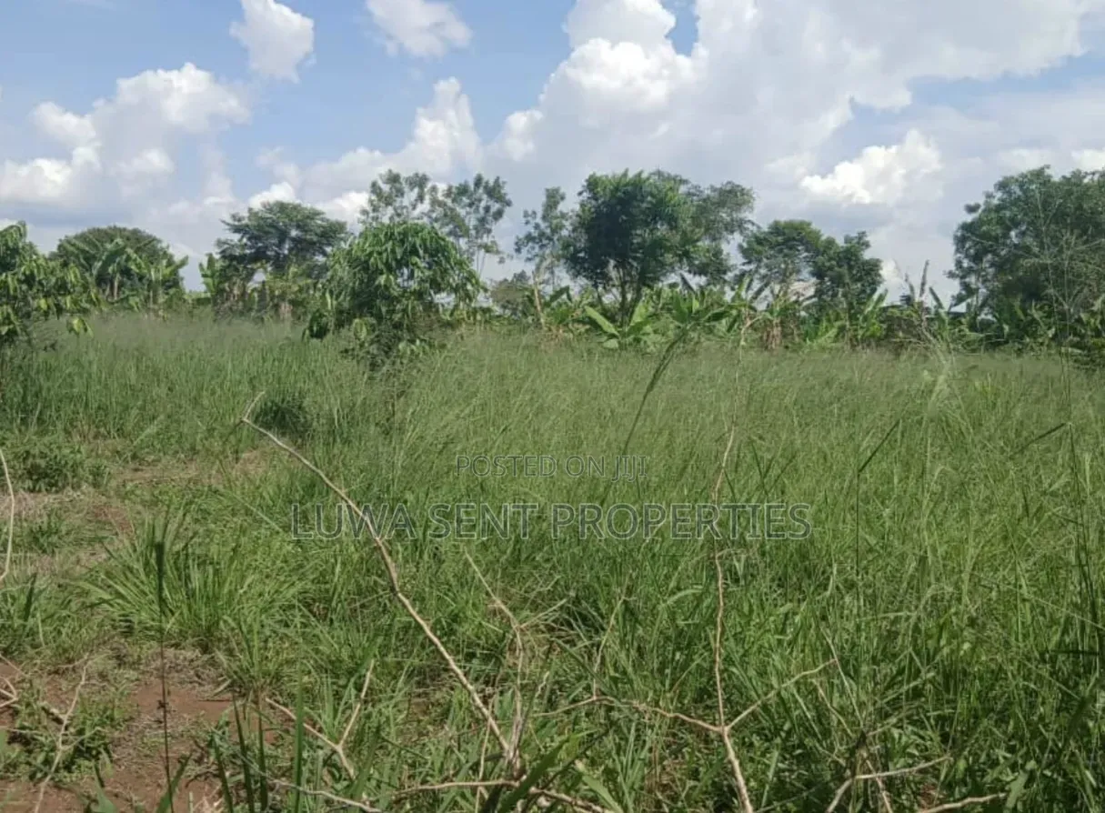 200 Acres for Sale Nakaseke Kakoge Private Mailo Land in Kakooge