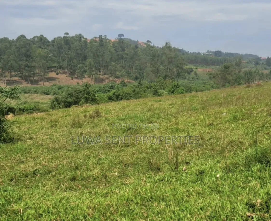 7Sq Miles Mailo Land for Sale NAKASONGOLA PRIVATE MAILO TITLE in Rubaga