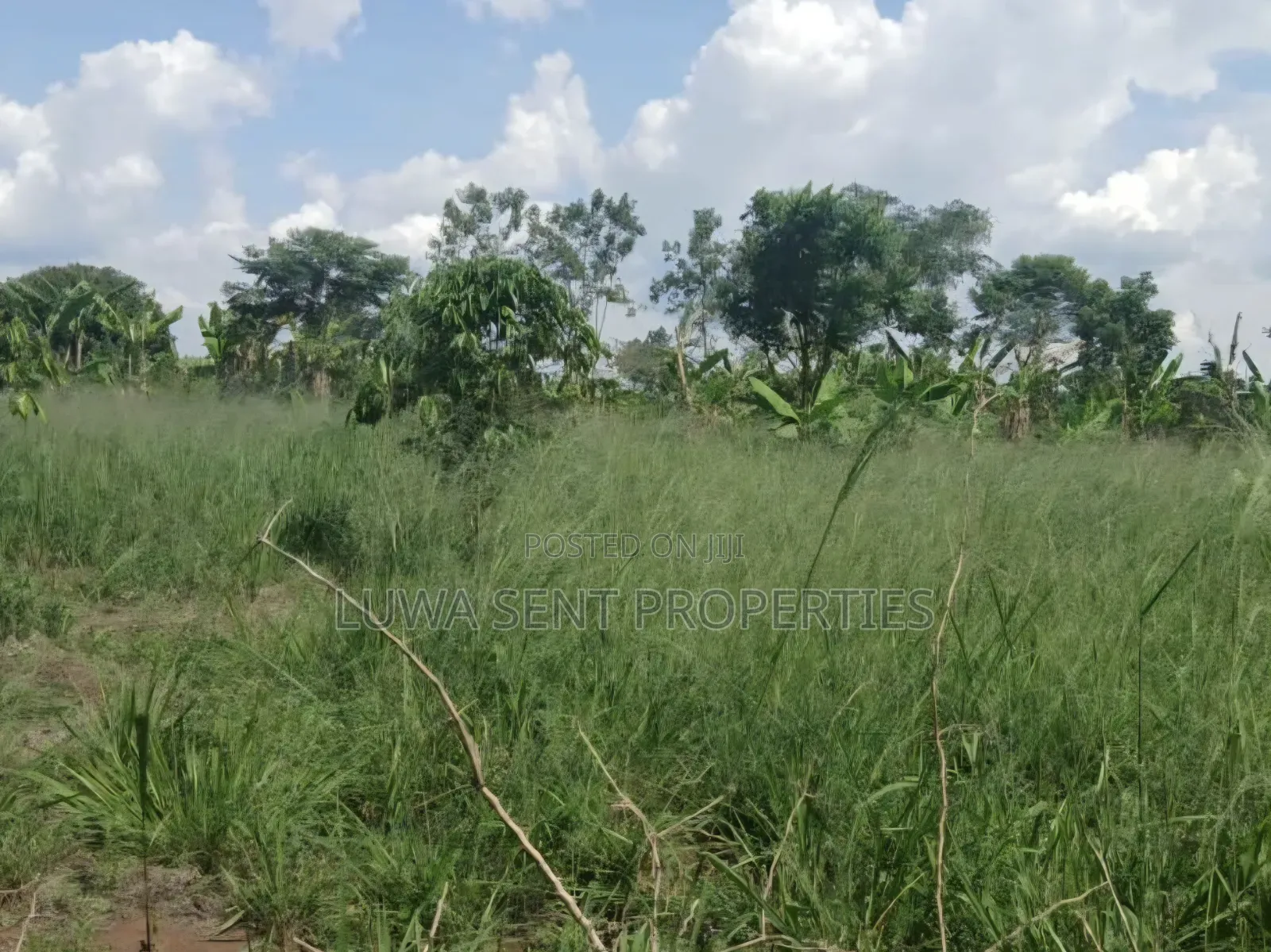 7Sq Miles Mailo Land for Sale NAKASONGOLA PRIVATE MAILO TITLE in Rubaga