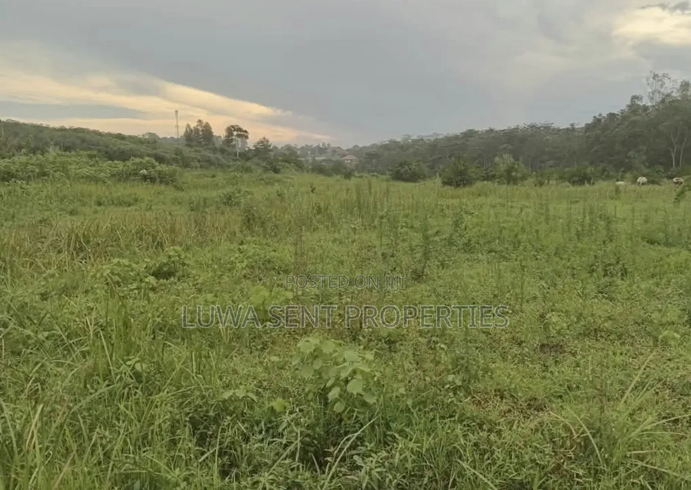 2 Square Miles for Sale Nakasongola Freehold in Lwabyata