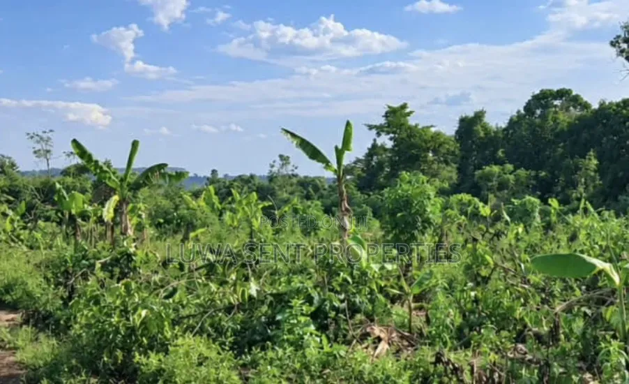 2 Square Miles for Sale Nakasongola Freehold in Lwabyata