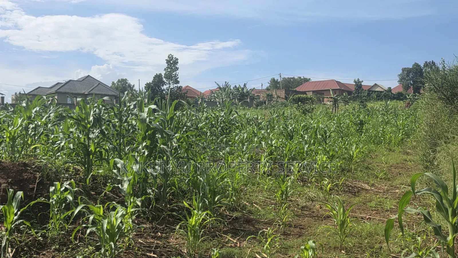 Wakiso Exodus College in Wakiso / Wakiso