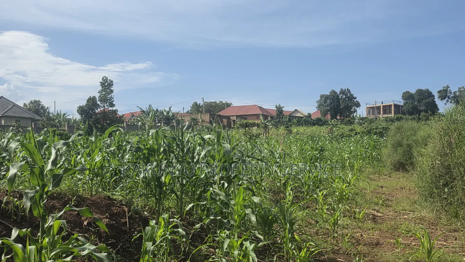 Wakiso Exodus College in Wakiso / Wakiso