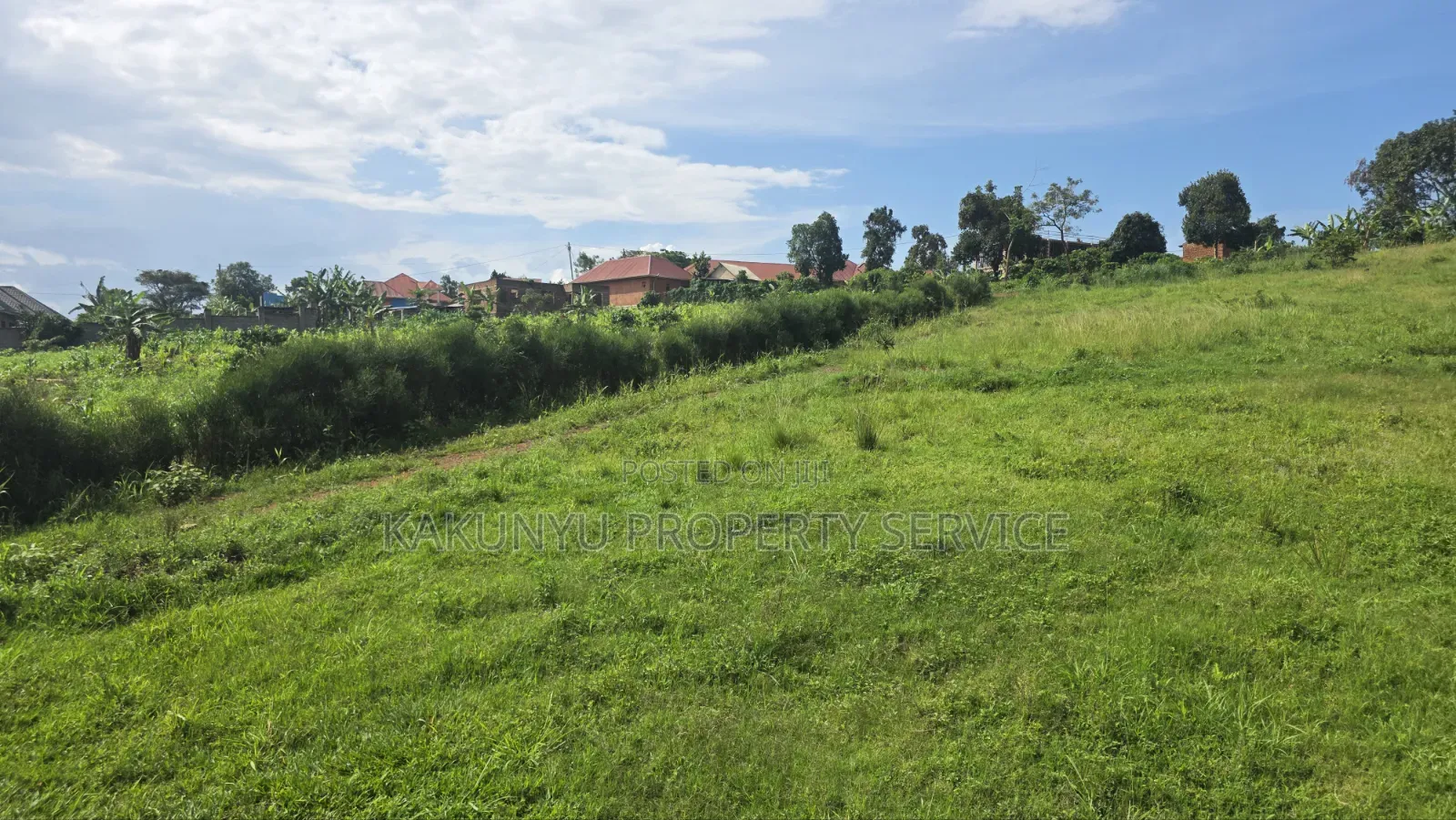 Wakiso Exodus College in Wakiso / Wakiso