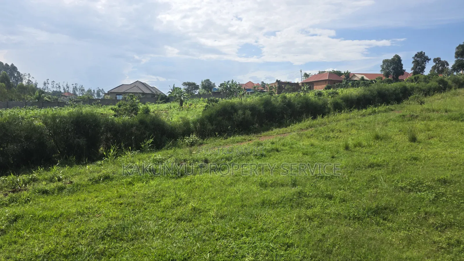 Wakiso Banda in Wakiso / Wakiso