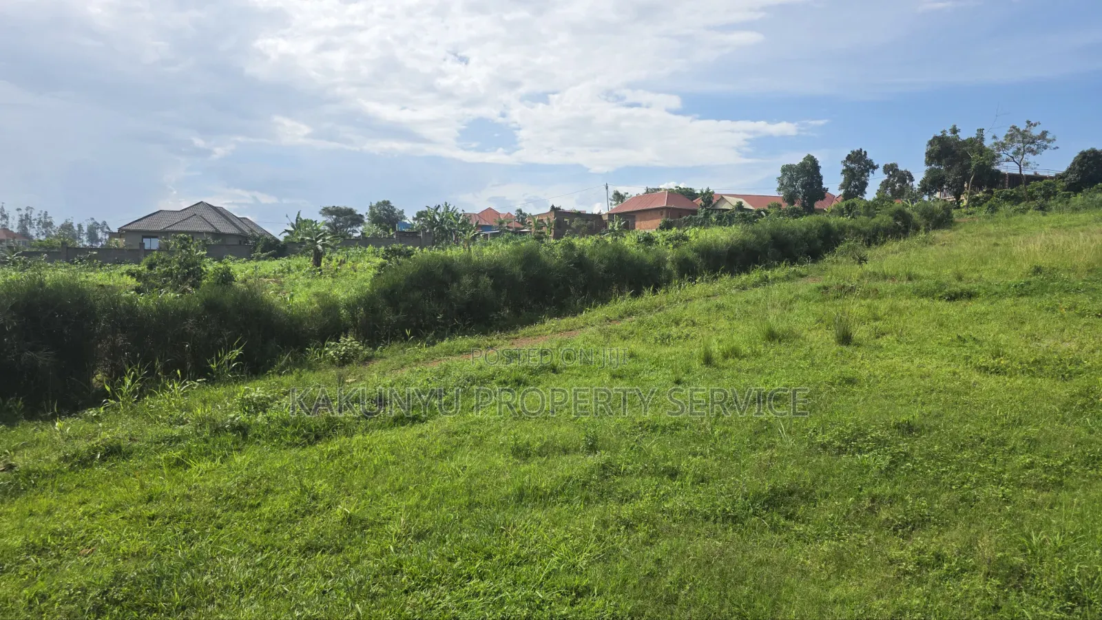 Wakiso Banda in Wakiso / Wakiso