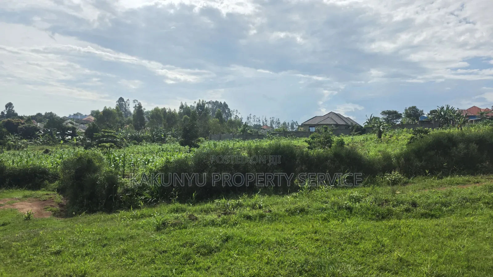 Wakiso New Heights Estate in Wakiso / Wakiso