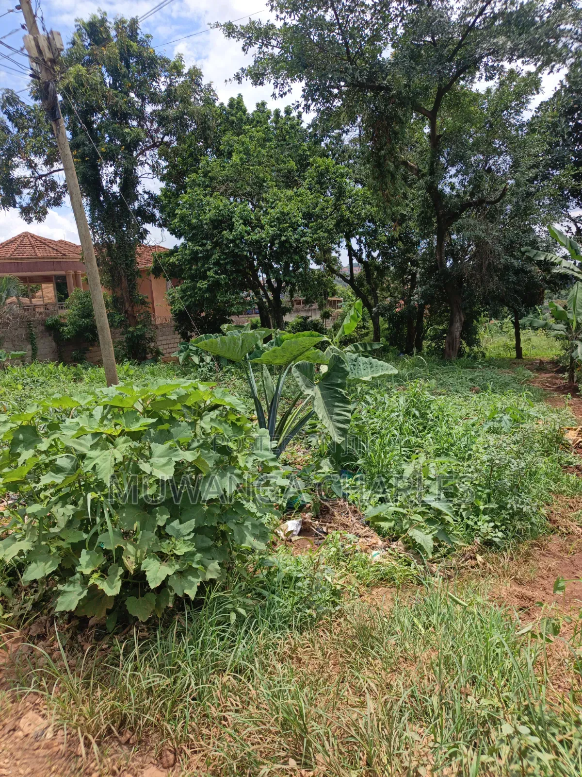 100by100ft Plot Available for Sale Kyanja Kungu in Nakawa
