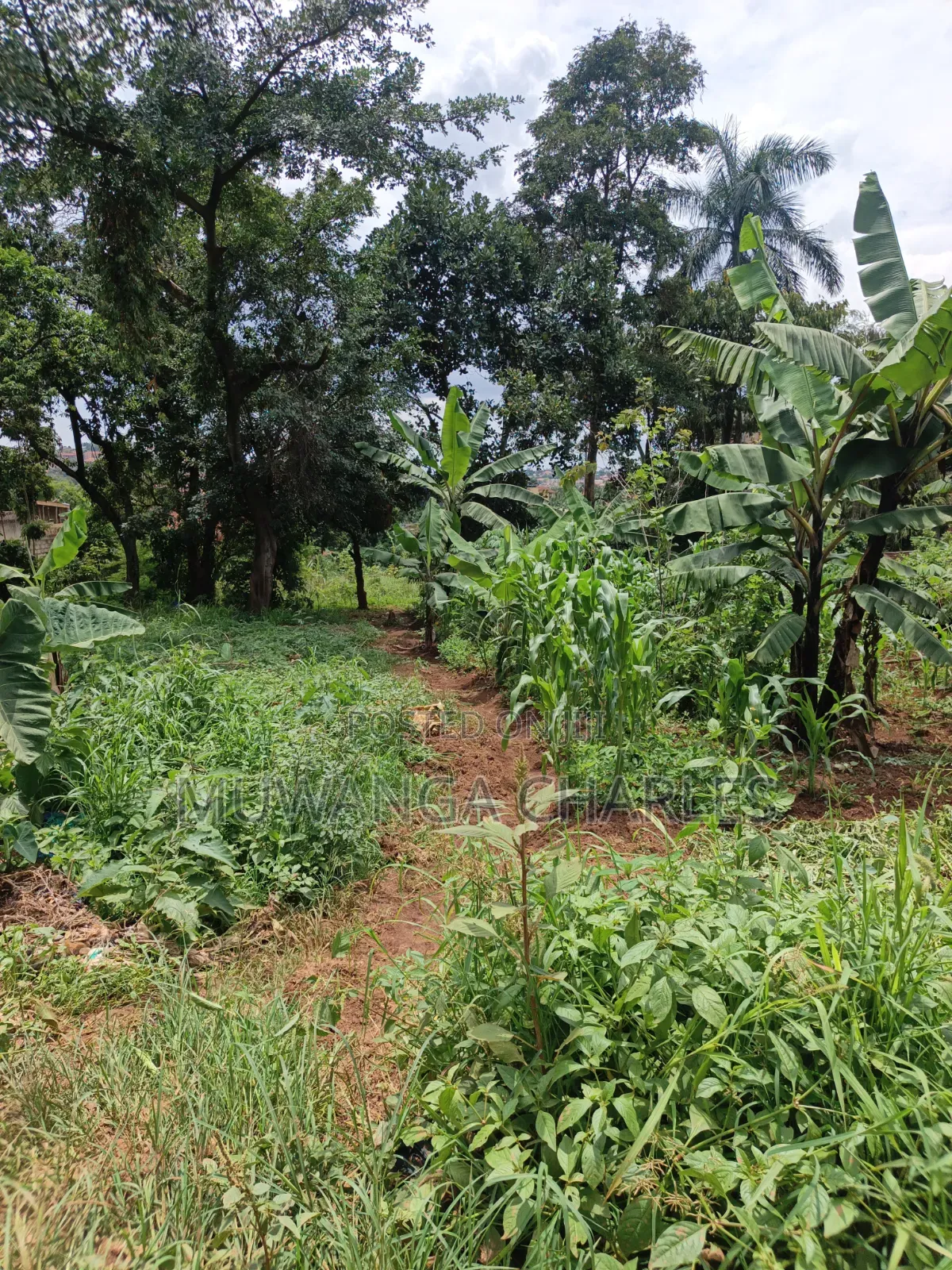 100by100ft Plot Available for Sale Kyanja Kungu in Nakawa