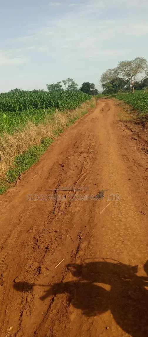 100 Acres of Land at Katalekamese Kapeeka Nakaseke in Central Division