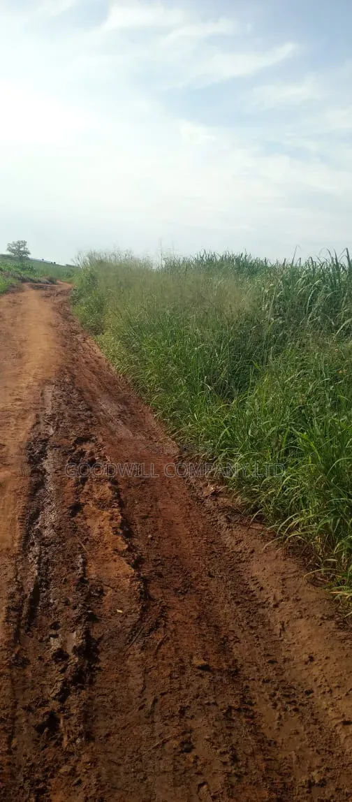 100 Acres of Land at Katalekamese Kapeeka Nakaseke in Central Division