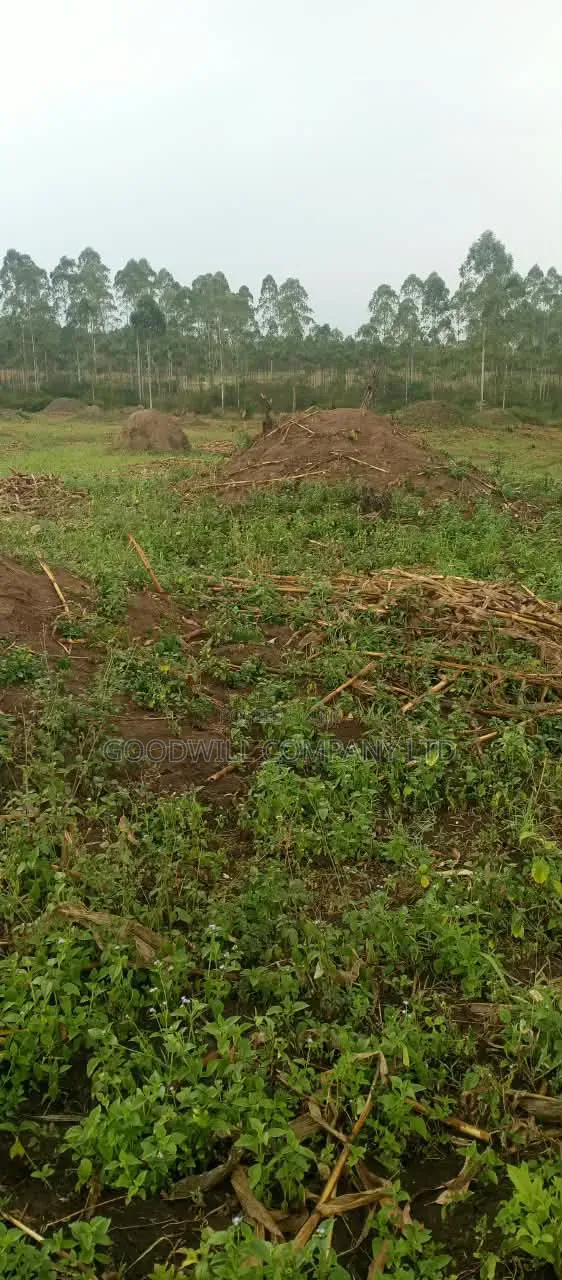 140 Acres of Land on Sale at Kyaluwesi in Kiwoko Nakaseke District in Central Division