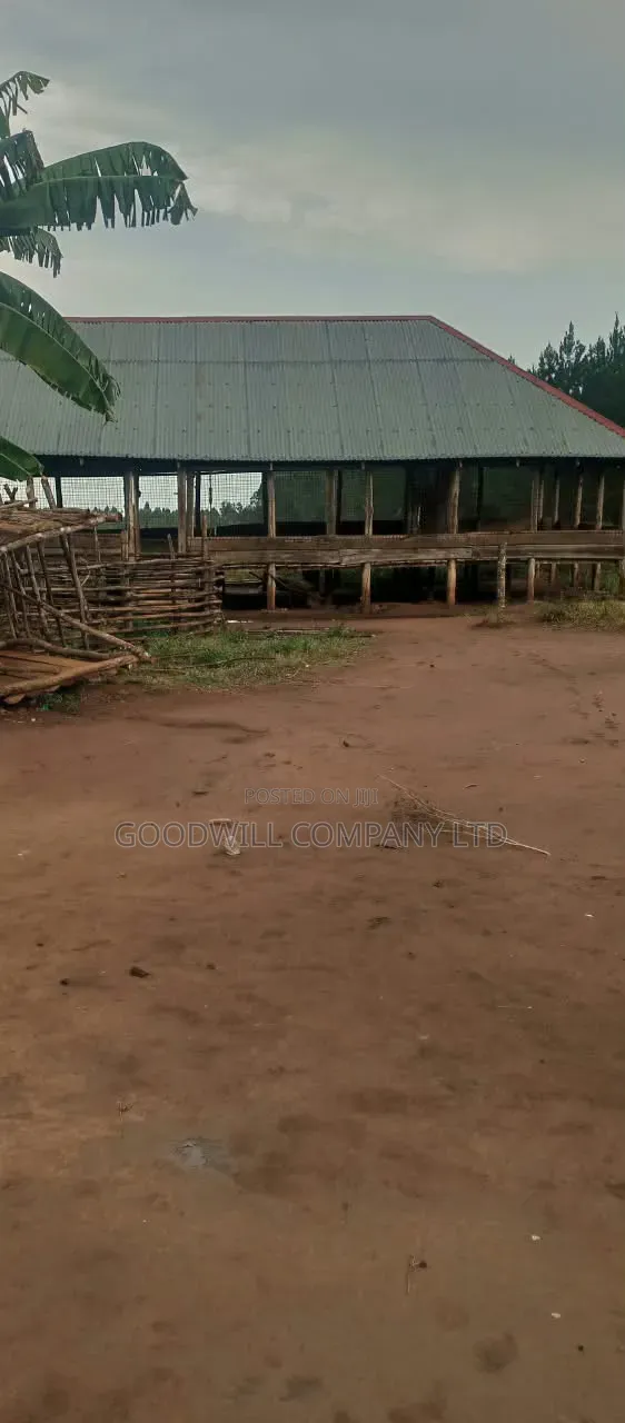 140 Acres of Land on Sale at Kyaluwesi in Kiwoko Nakaseke District in Central Division