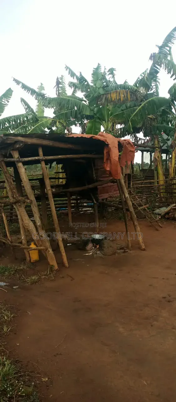 140 Acres of Land on Sale at Kyaluwesi in Kiwoko Nakaseke District in Central Division
