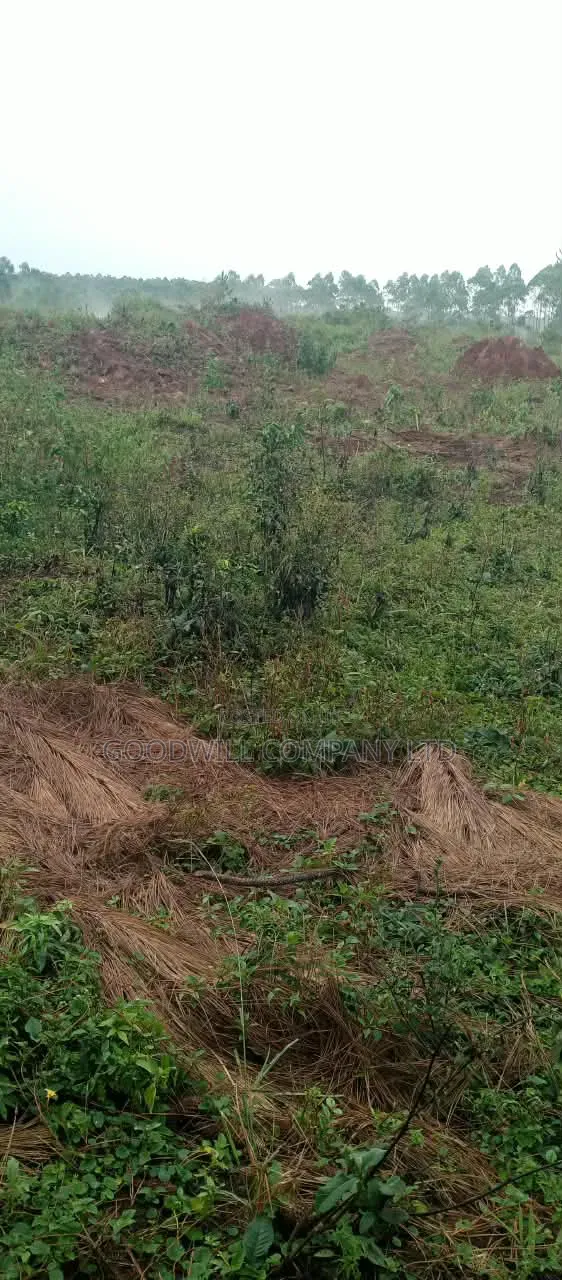 140 Acres of Land on Sale at Kyaluwesi in Kiwoko Nakaseke District in Central Division