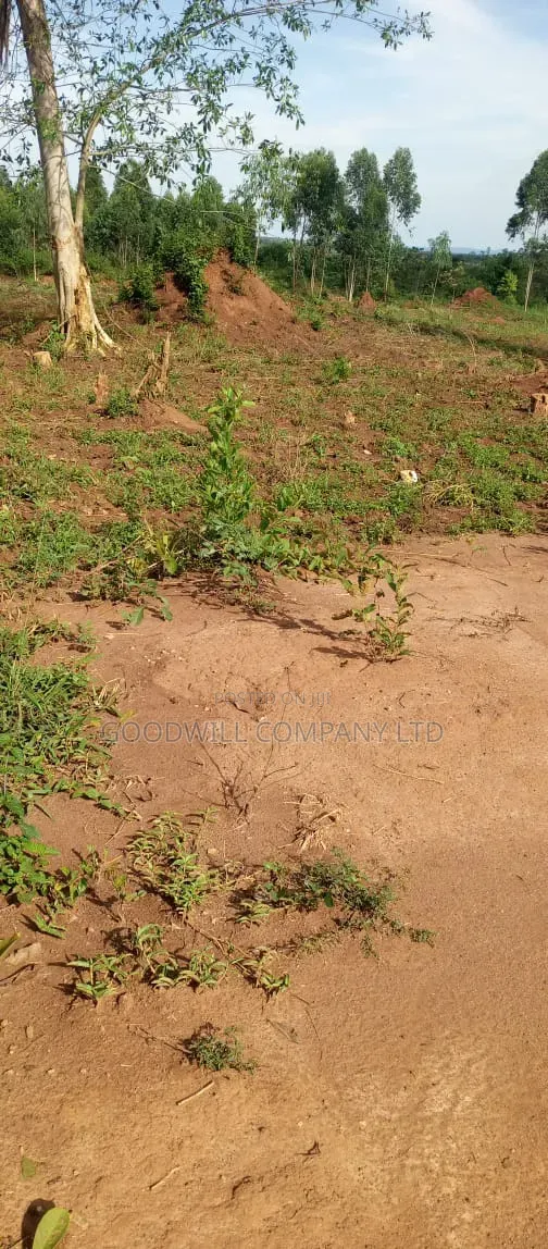 51 Acres of Land on Sale at Butalangu Nakaseke 7km Off Tarmac Road in Central Division
