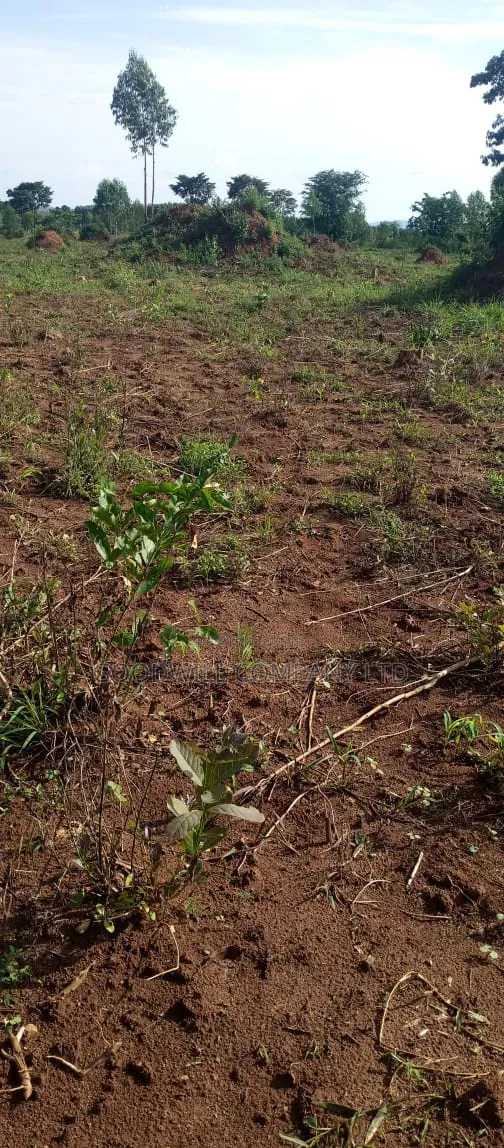 51 Acres of Land on Sale at Butalangu Nakaseke 7km Off Tarmac Road in Central Division