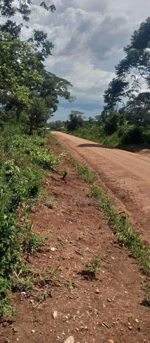 106 Acres of Land Kiwoko Nakaseke 3phase Electricity 1km Off Tarmac in Central Division