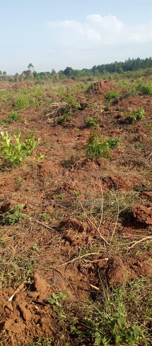 100 Acres of Land on Sale at Kyakadongo After Watuba Kikyuusa in Central Division