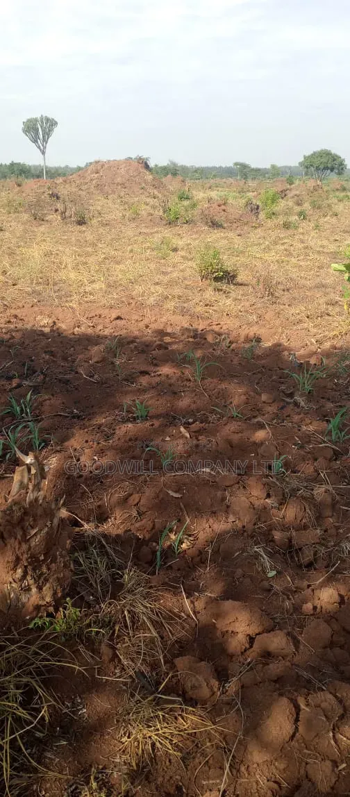100 Acres of Land on Sale at Kyakadongo After Watuba Kikyuusa in Central Division