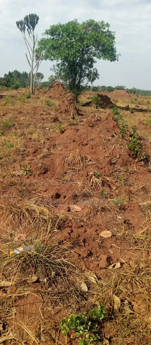 100 Acres of Land on Sale at Kyakadongo After Watuba Kikyuusa in Central Division