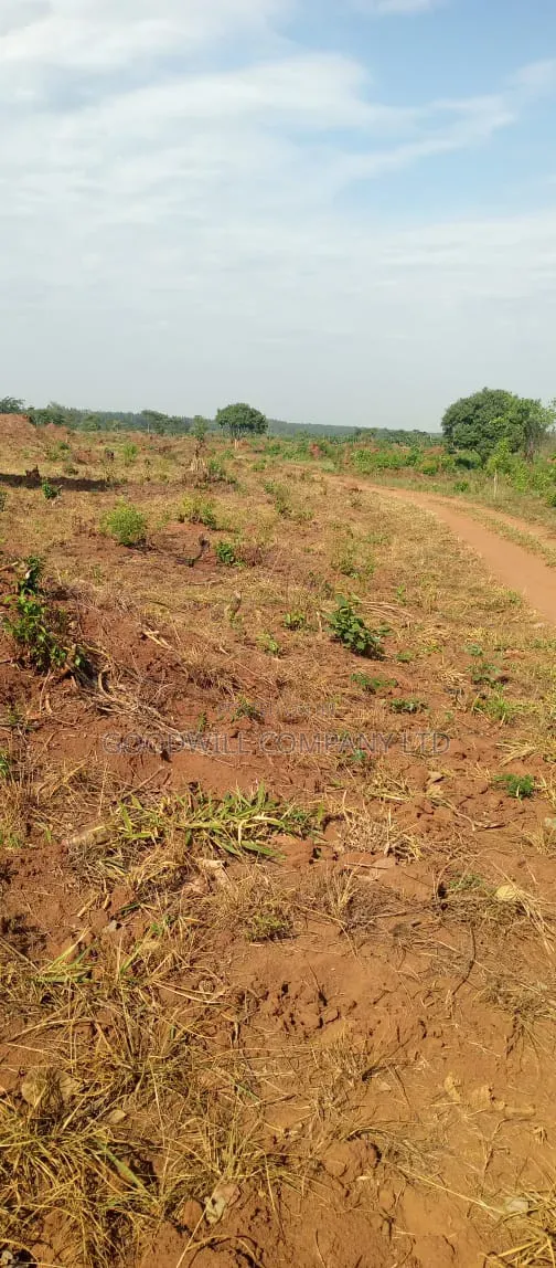 100 Acres of Land on Sale at Kyakadongo After Watuba Kikyuusa in Central Division