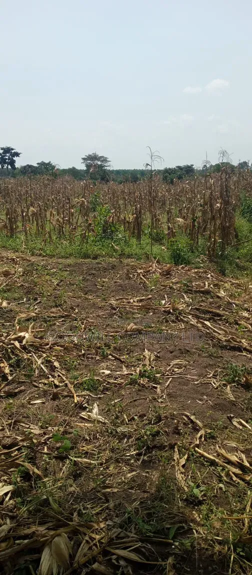 100 Acres of Land on Sale at Kyakadongo After Watuba Kikyuusa in Central Division