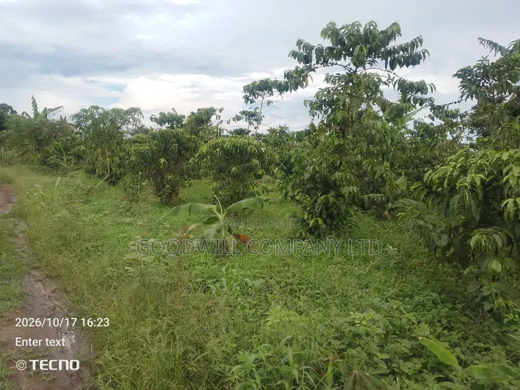 5 Acres of Land in Vumba Busika 3km Off Tarmac in Central Division